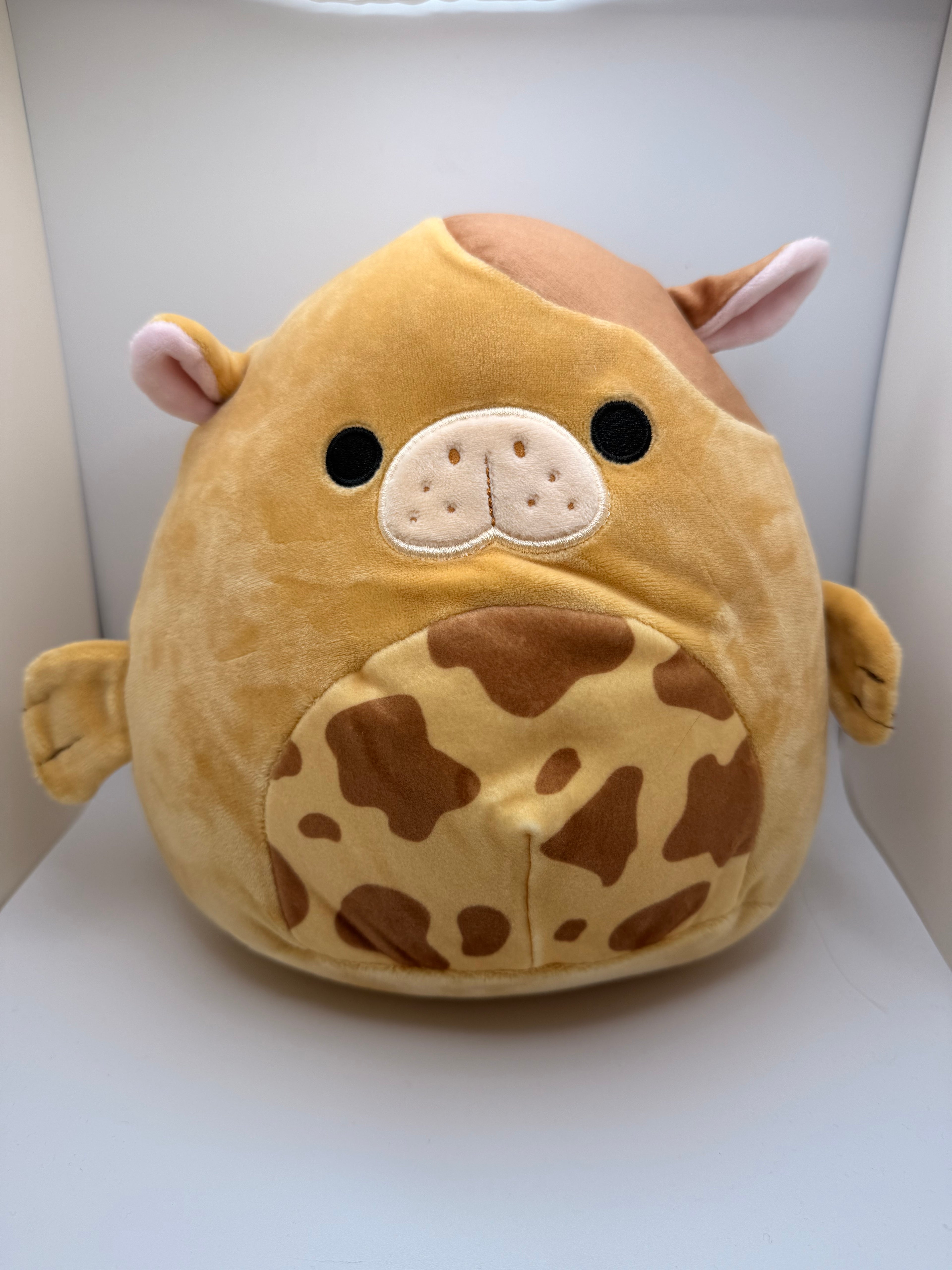 Squishmallows - Bittie 8"