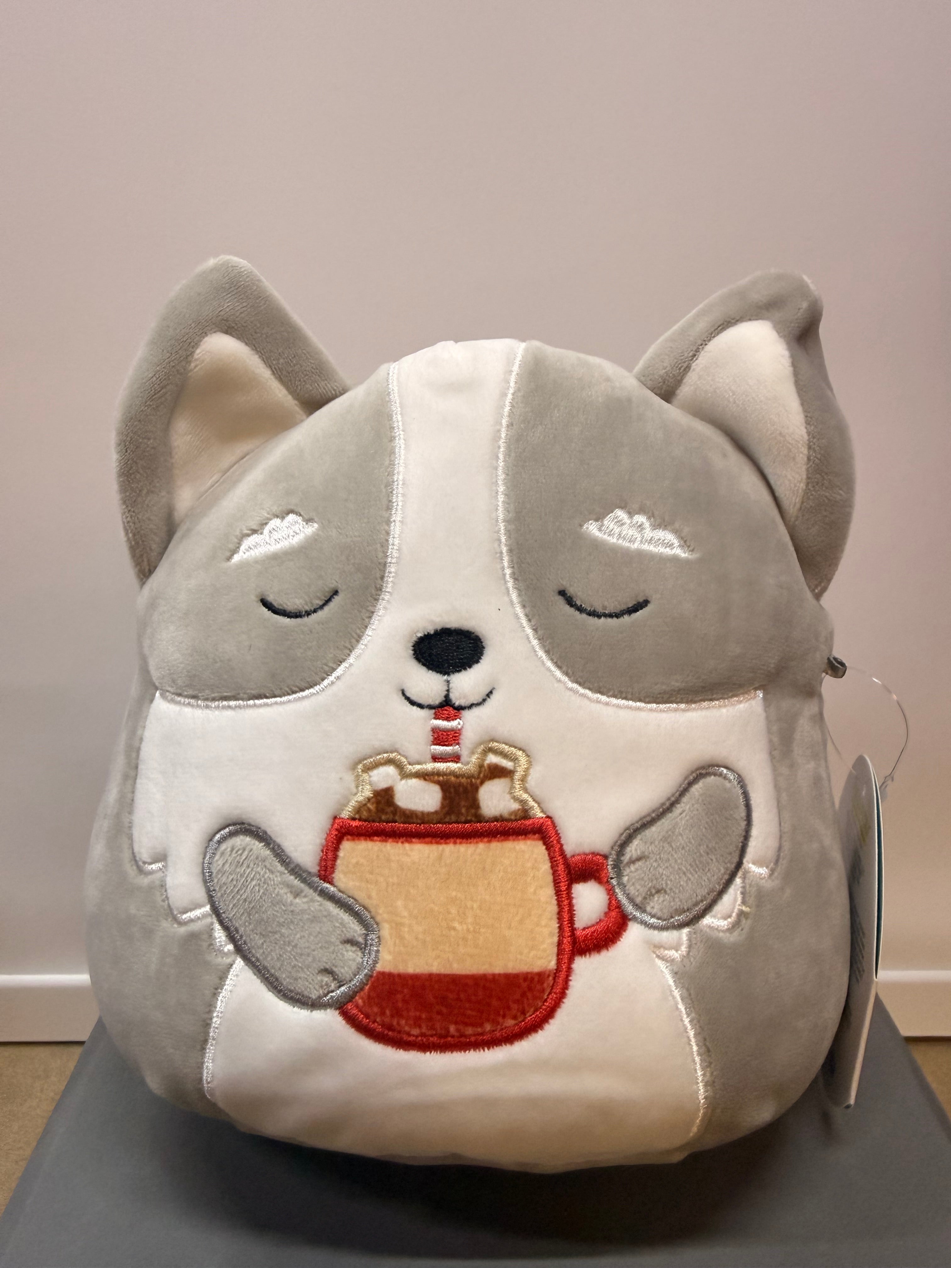 Squishmallows - 8" Casmir Hot Chocolate